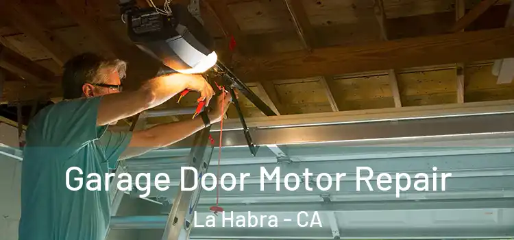  Garage Door Motor Repair La Habra - CA