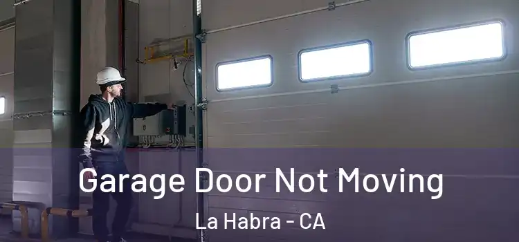  Garage Door Not Moving La Habra - CA