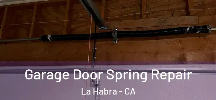  Garage Door Spring Repair La Habra - CA