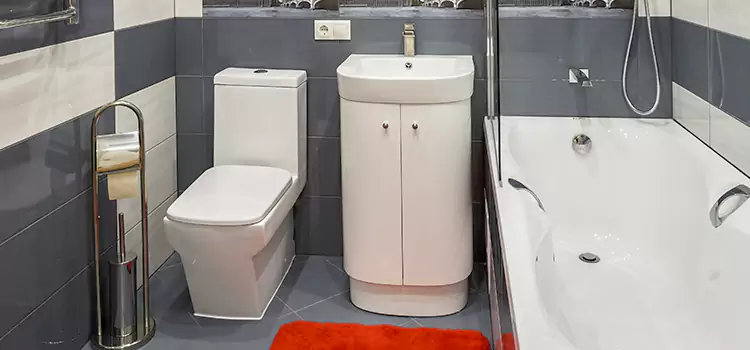 Hansgrohe Shaving Mirror La Habra