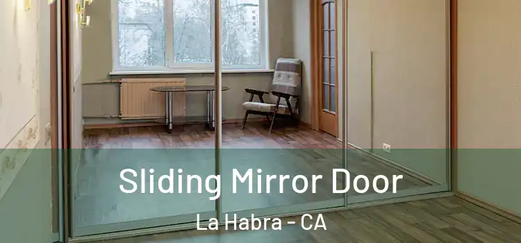 Sliding Mirror Door La Habra - CA